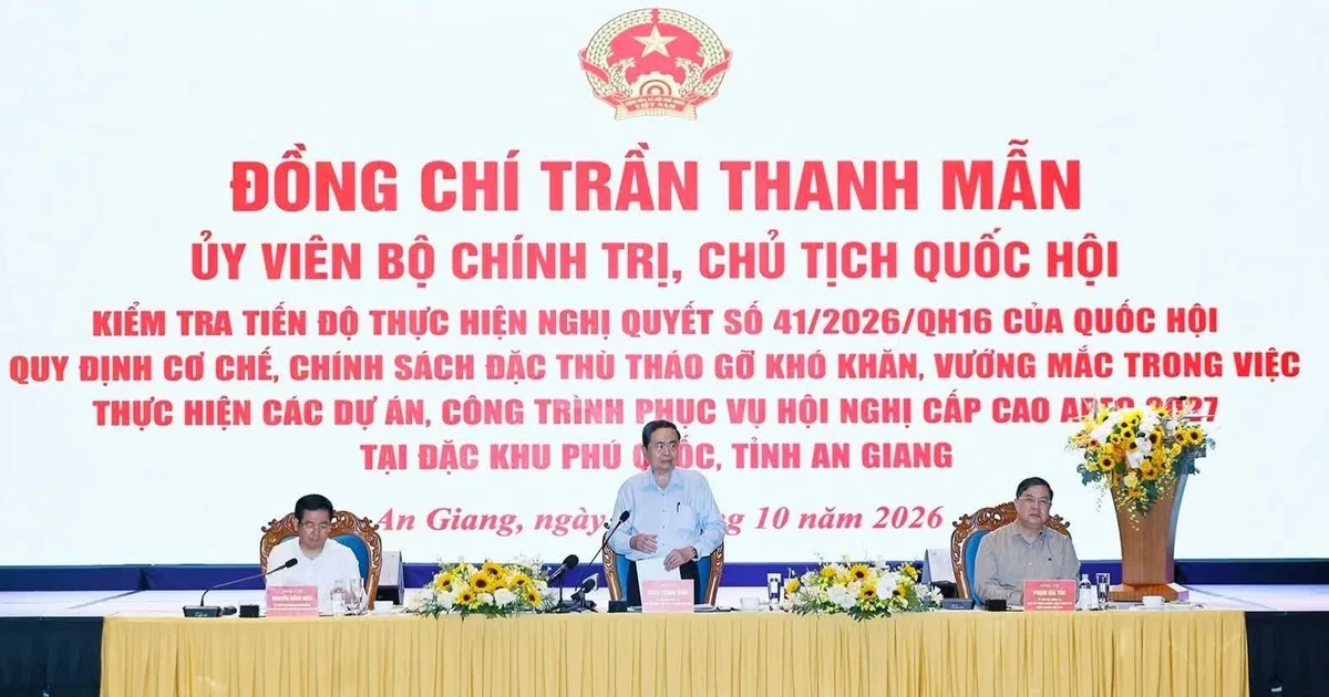 越南国会主席陈青敏考察亚太经合组织会议中心项目【组图】