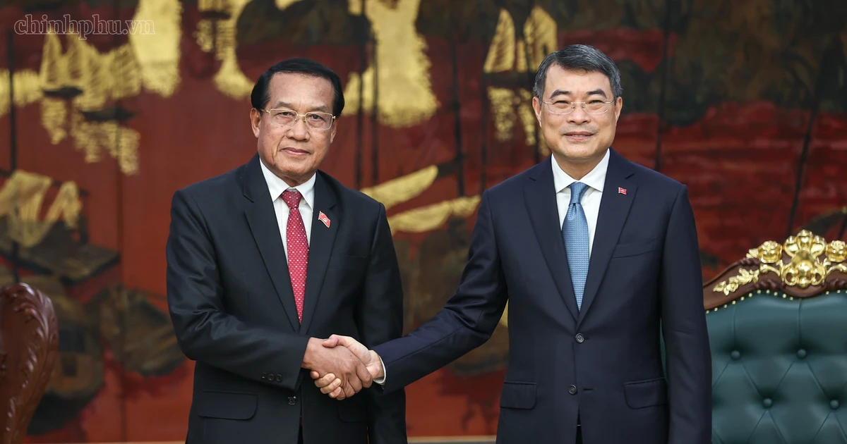 政府总理黎明兴会见老挝中央检查委员会主任、国家监察总署署长万赛