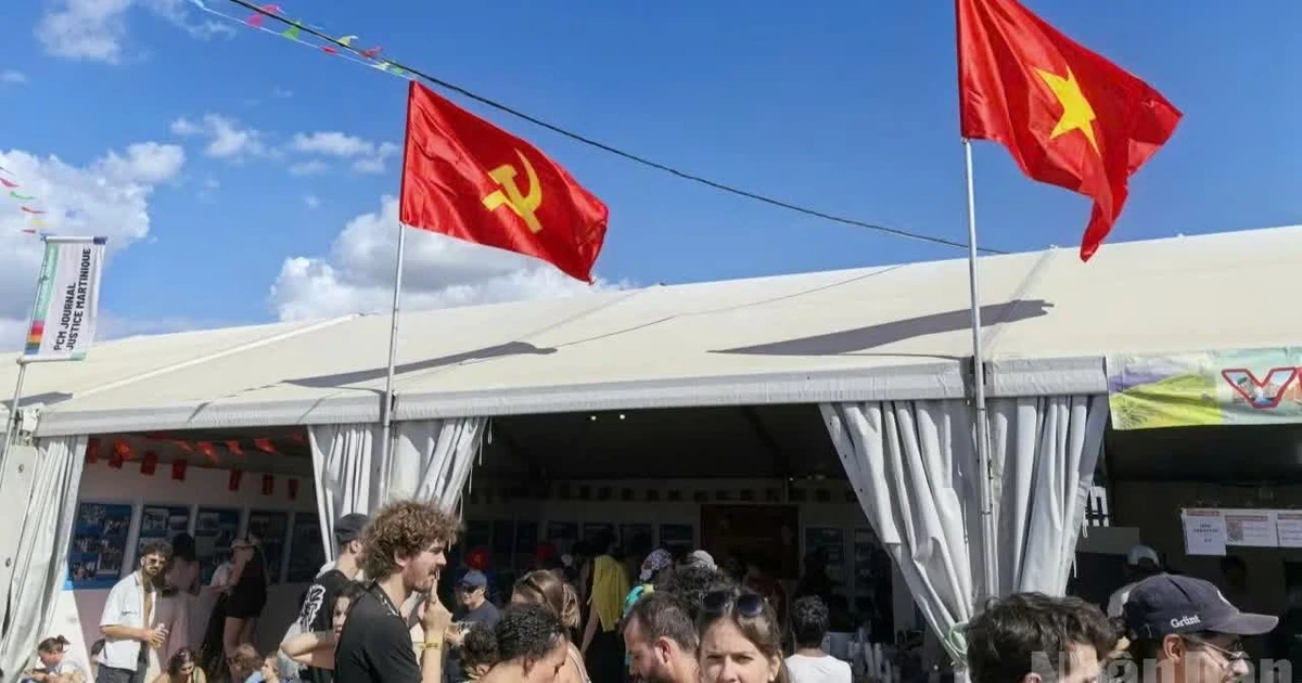 从坚强不屈的象征到奋发图强的渴望