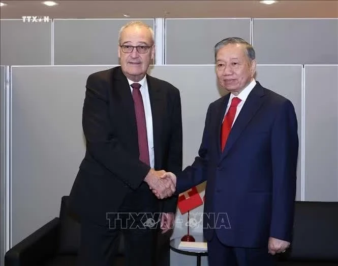 社论：为越瑞合作注入强劲动力