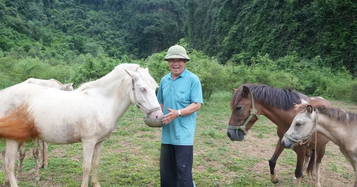 越南高地少数民族群众靠养马增收致富