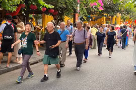 越南成为国际游客青睐的旅游目的地。