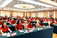 与会代表。
