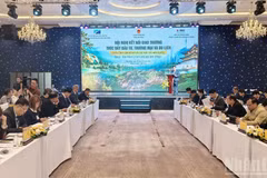 林同省与韩国各合作伙伴商务对接会全景。