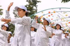 首都河内老年人太极拳集体展演活动。（图片来源：越通社）