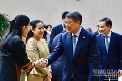 政府总理黎明兴会见东盟各国驻越大使和临时代办。（青江 摄）
