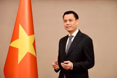 越南外交部副部长邓黄江。（图片来源：外交部）
