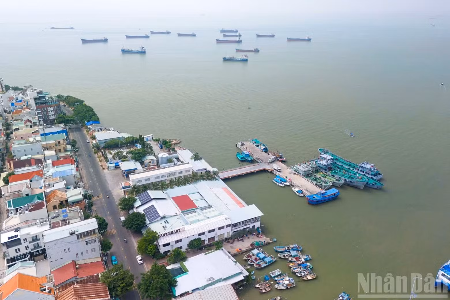 该项目有望成为越南首个采用桥梁与海底隧道相结合的跨海工程，将有助于加强胡志明市与巴地—头顿地区的互联互通，缩短出行时间，推动当地旅游、服务业和海洋经济发展，拓展胡志明市向东南方向的发展空间。