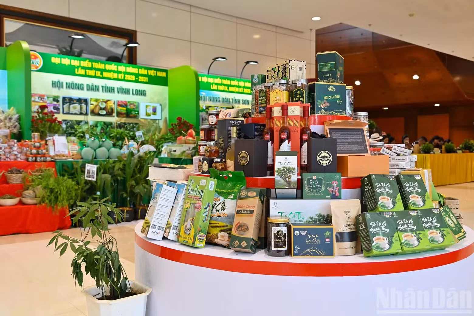 多种农产品、“一乡一品”产品以及越南农业近年来所取得的突出成果在大会展示推介区集中亮相。