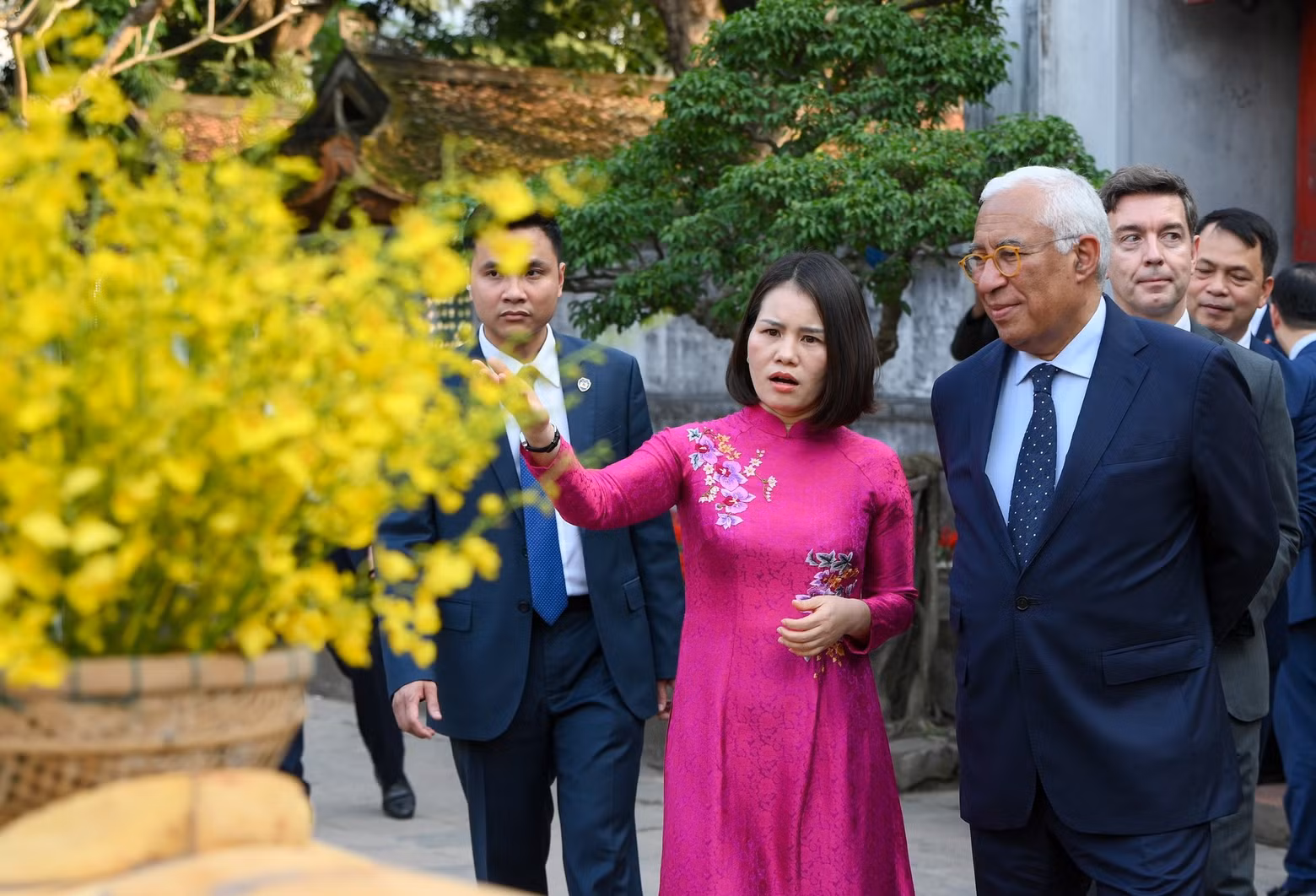 anh-6-5207.jpg