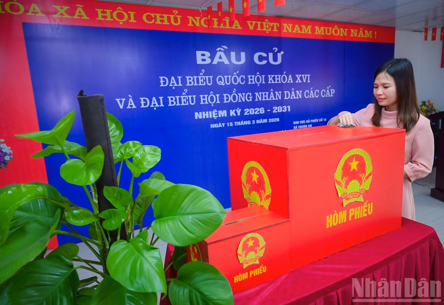anh-16.jpg