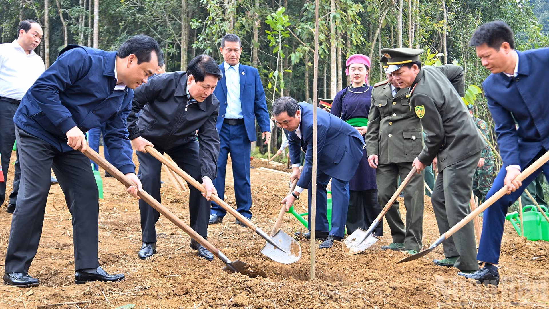 越南国家主席梁强出席“世世代代铭记胡志明主席功勋”植树节【组图】