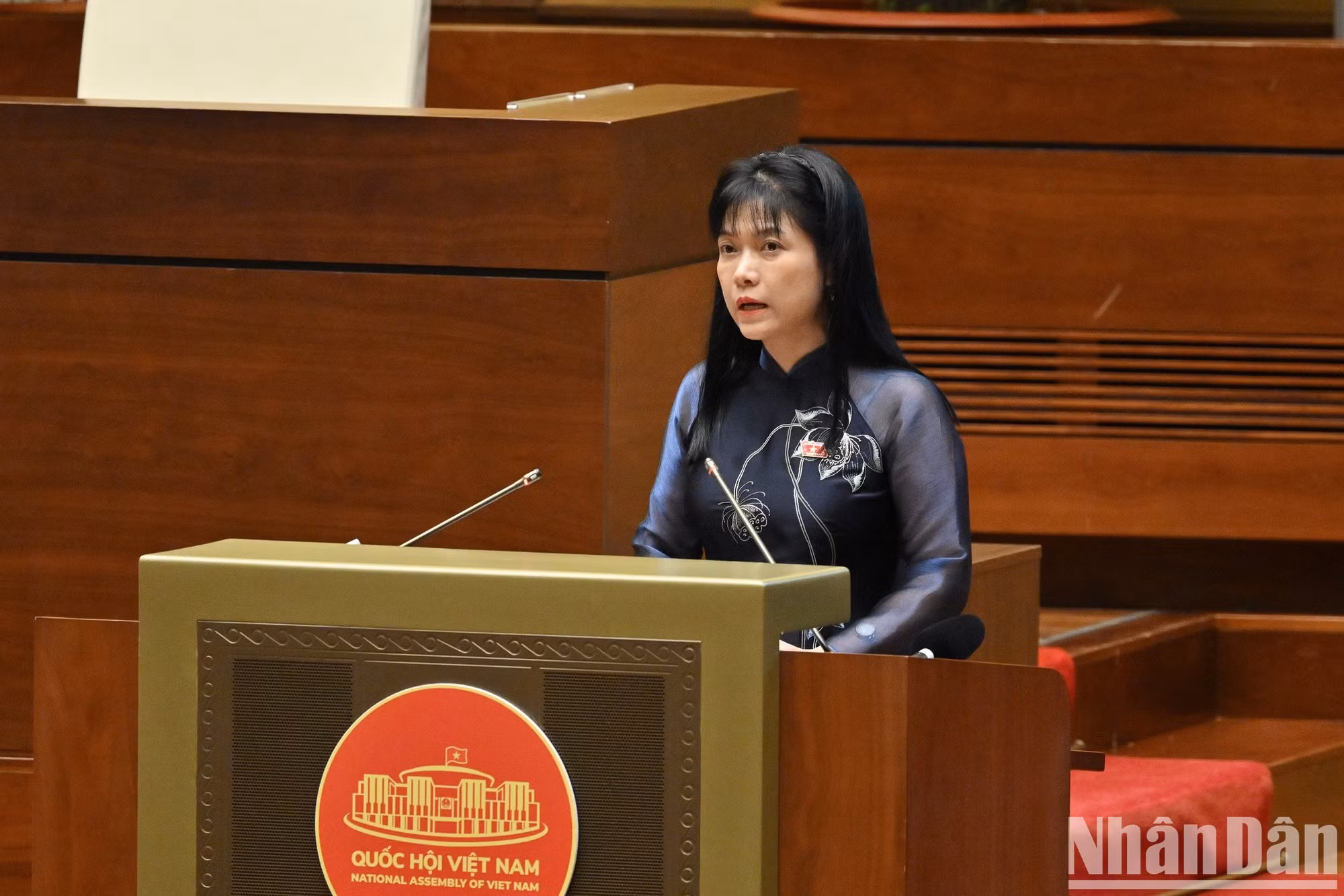 越南国会代表工作委员会副主任谢氏安公布第十六届国会越南友好议员组织成立决议，并公布各友好议员小组组长、副组长名单。