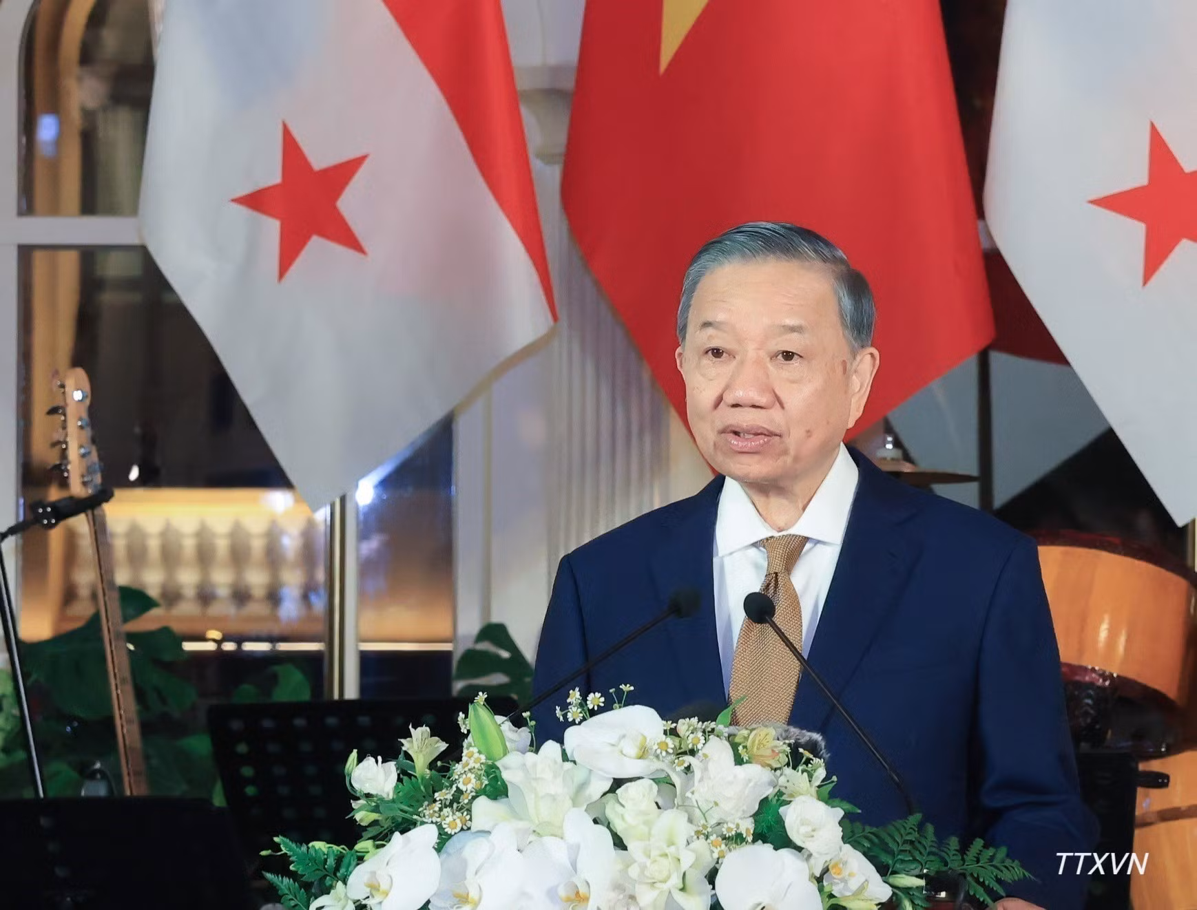 苏林总书记、国家主席在会上发表讲话。