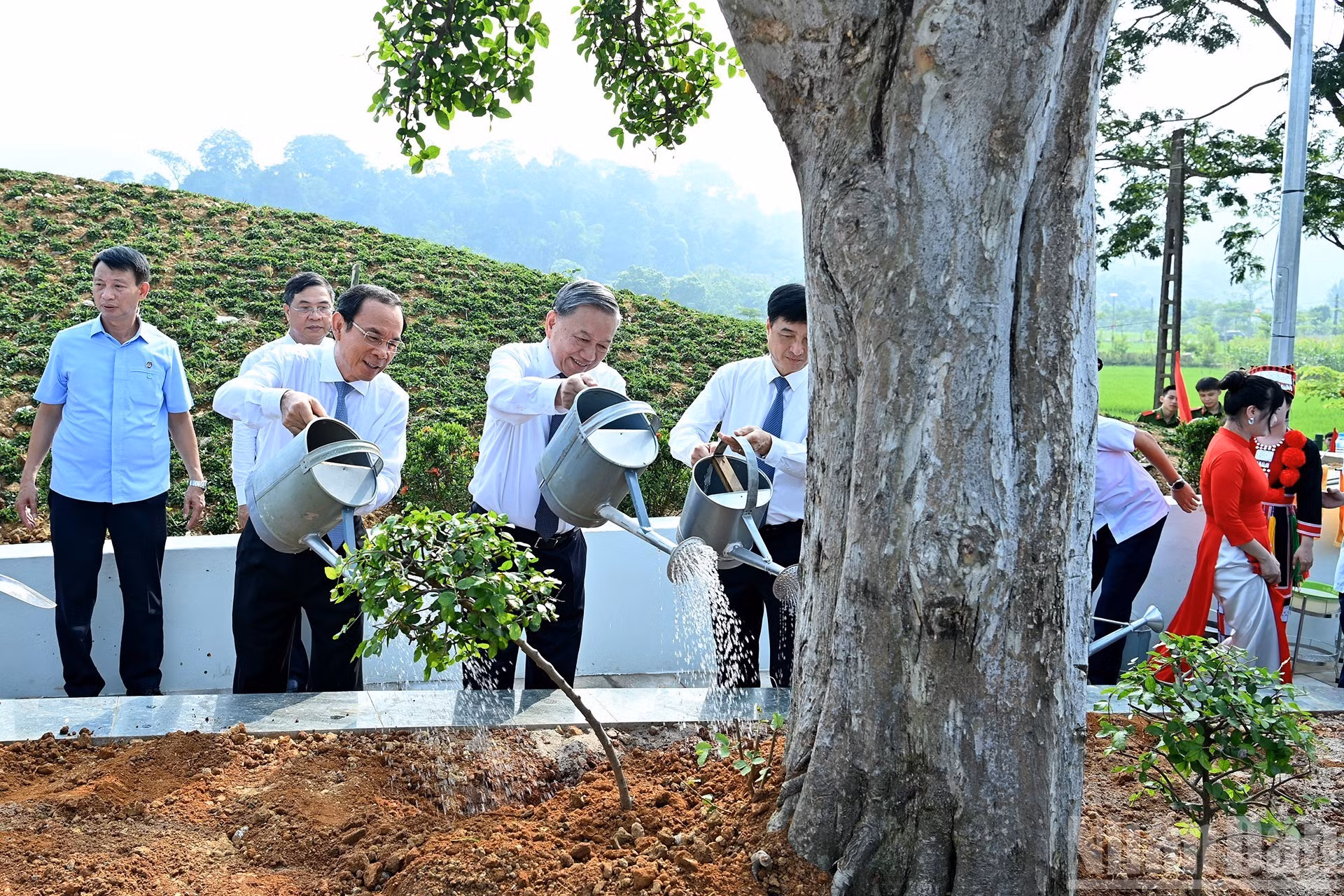 苏林总书记在“胡伯伯在新潮”纪念碑区域种植纪念树。