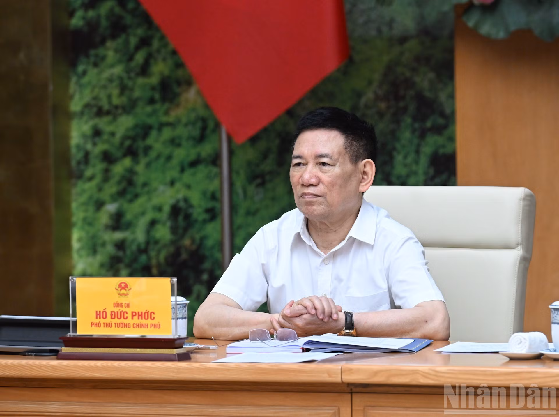 胡德福副总理在会上发表讲话。