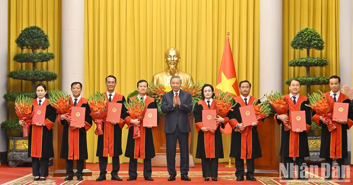 越共中央总书记、国家主席苏林向最高人民法院法官颁发任命决定【组图】