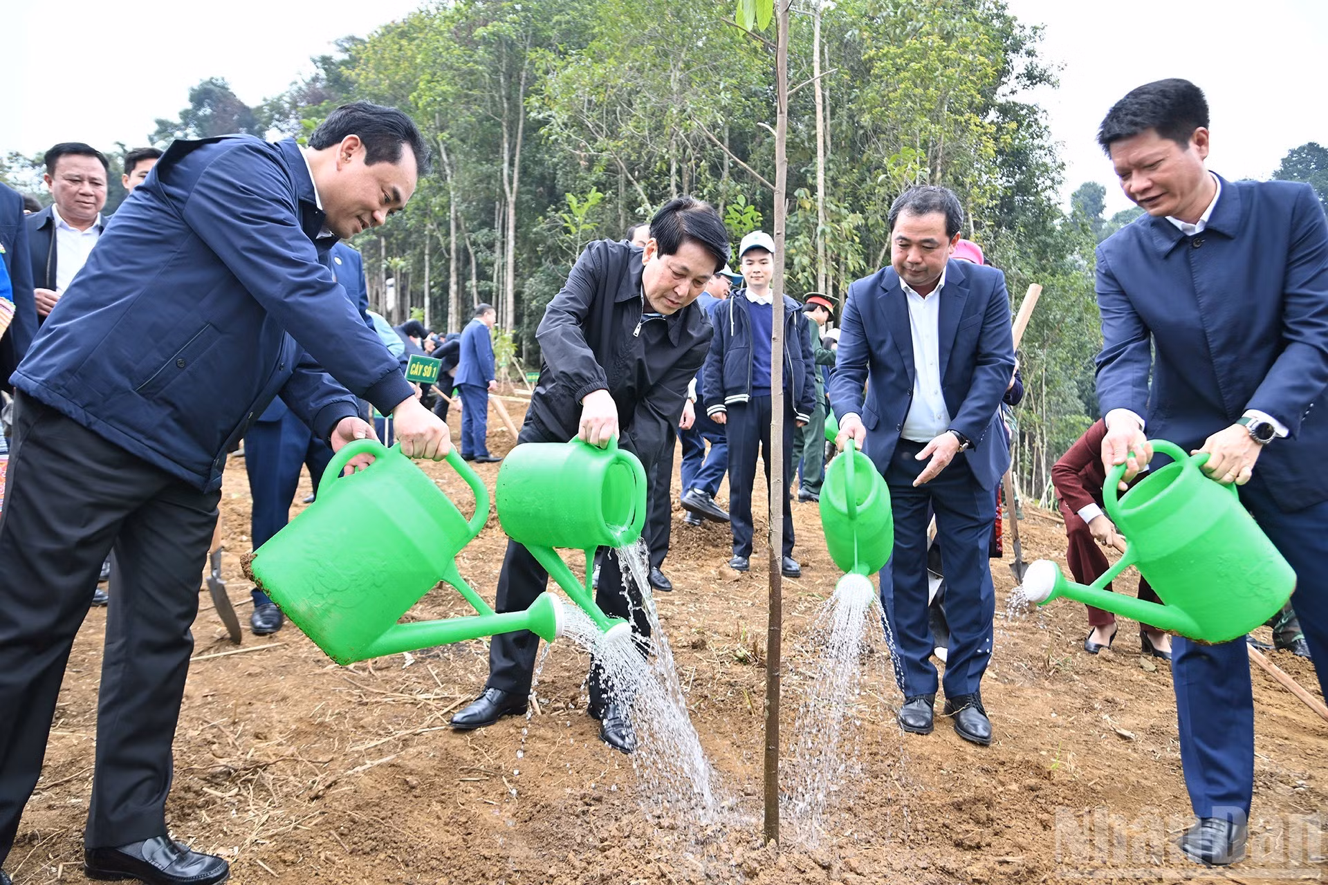 梁强主席与各位代表在仪式上植树。
