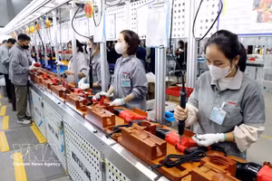 越南兴安省太瑞乡Keystone Electrical越南工厂项目的工人正在生产手持式电动工具 。（图片来源：越通社）