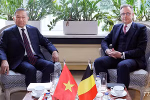 越共中央总书记、国家主席苏林与比利时首相巴特·德韦弗举行小范围会晤。（图片来源：越通社）