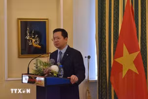 越南驻波兰大使何黄海。（图片来源：越通社）