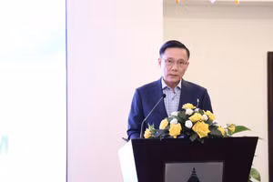 胡志明市贸易投资促进中心副主任黎英黄在会上发表讲话。（图片来源：越通社）