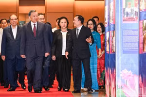苏林总书记、国家主席出席全国会议，研究、学习、贯彻落实政治局若干决议和指示【组图】