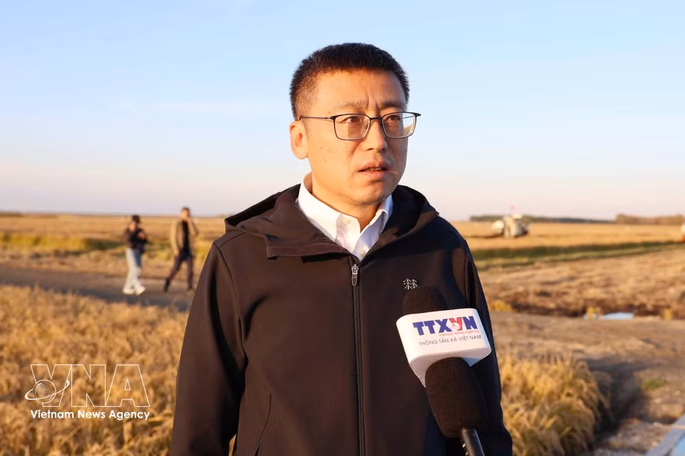 黑龙江省农业农村厅种植业管理处处长刘晓兵在接受越通社记者采访。（图片来源：越通社）