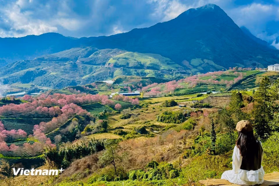 12月的沙坝之旅，是邂逅自然奇迹的行程。