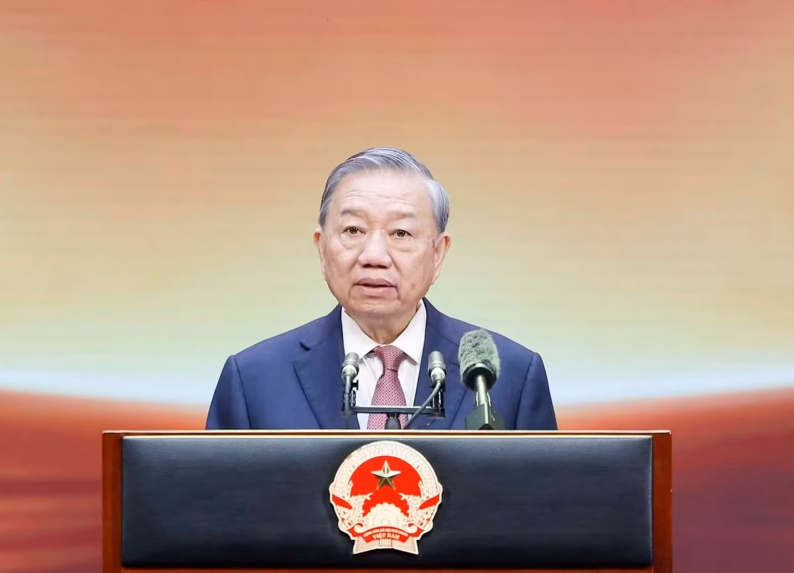 苏林总书记、国家主席在会上发表讲话。