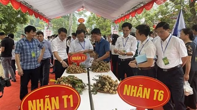 兴安省快州县人民委员会日前举行2022年龙眼及农产品促销开幕式。