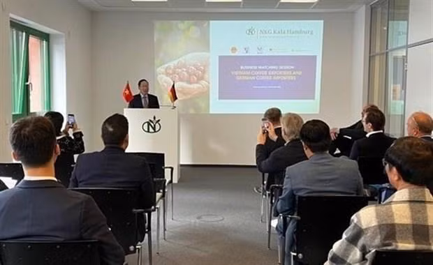 越南驻德国大使馆商务参赞裴王英在研讨会上向双方企业介绍了越德经济合作机制。（图片来源：越通社）