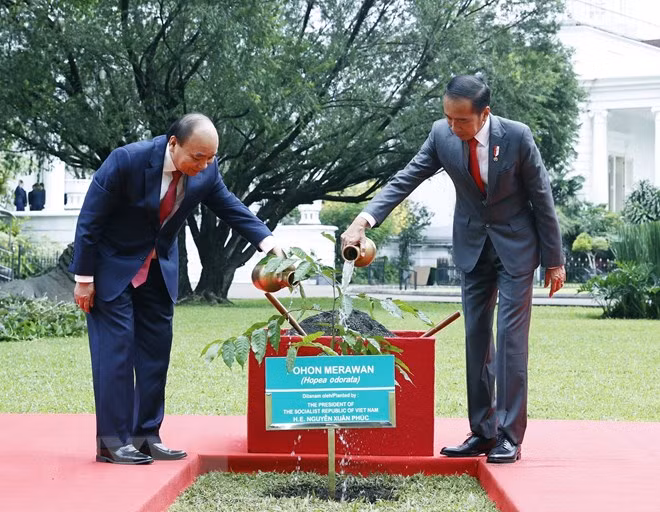 越南国家主席阮春福和印尼总统佐科·维多多共植留念树。（图片来源：越通社）