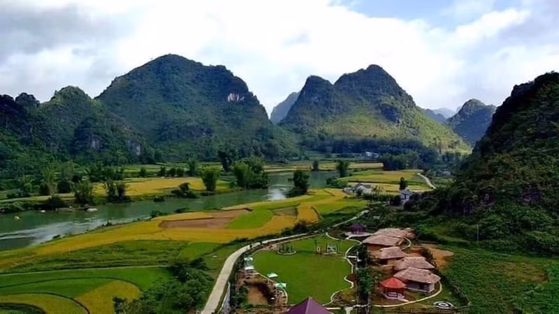 高平省重庆县志远乡的金灿灿的稻谷和江河流域风景优美。这里风景如画,美如仙境。（图片来源：越通社）