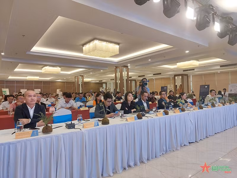 2023年九龙江三角洲地区创业比赛总决赛场景。