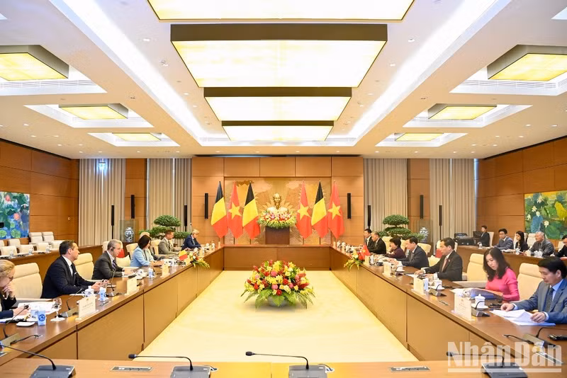 越南国会主席王廷惠与比利时参议院议长斯蒂芬妮·德霍斯举行会谈【组图】 ảnh 7