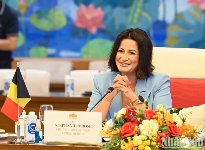 比利时参议院议长斯蒂芬妮·德霍斯在会谈上发表讲话。