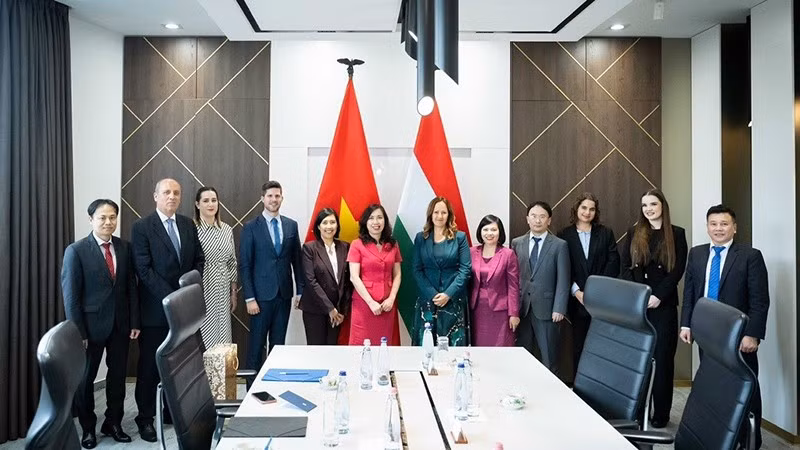 双方举行了政治磋商会议。（图片来源：外交部）