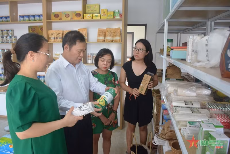 环境友好型的产品颇受欢迎。
