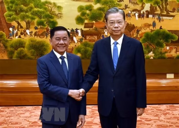 中国全国人大常委会委员长赵乐际会见越共中央政治局委员、中央书记处书记、中央检查委员会主任陈锦秀。（图片来源：越通社）