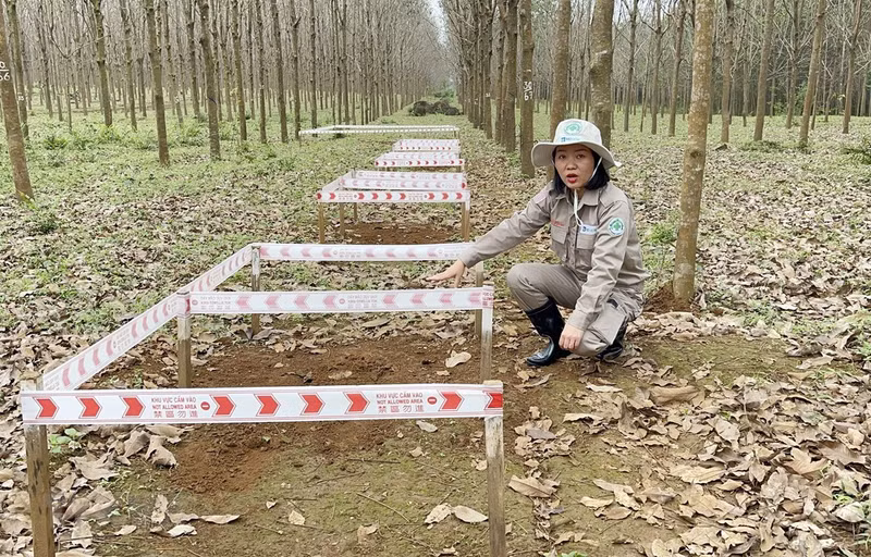 阮氏妙玲女士。