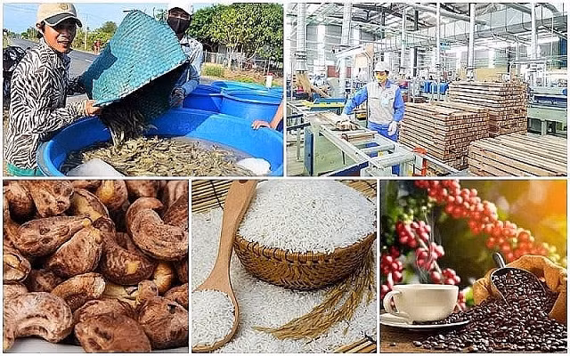 越南农林水产品在180个国家和地区上架。 越南农林水产品在180个国家和地区上架。