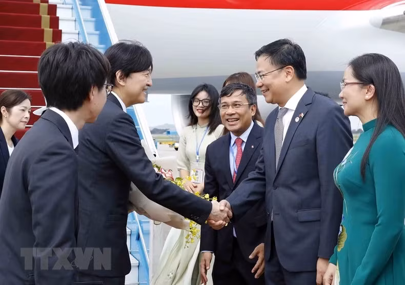 越南代表前来内排国际机场迎接日本皇嗣秋筱宫文仁亲王和秋筱宫妃纪子。（图片来源：越通社）