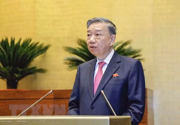 越南公安部长苏林大将在会议上发言。（图片来源：越通社）