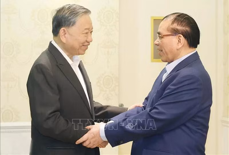 苏林总书记和原越共中央总书记农德孟。（图片来源：越通社）
