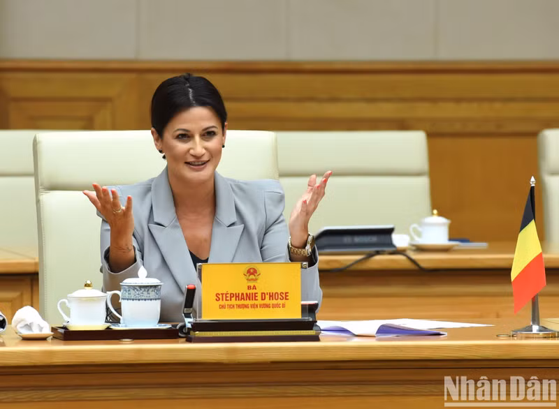 比利时参议院议长斯蒂芬妮·德霍斯在会见中发表讲话。