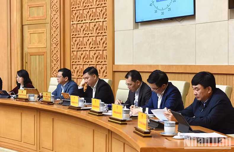 与会代表。