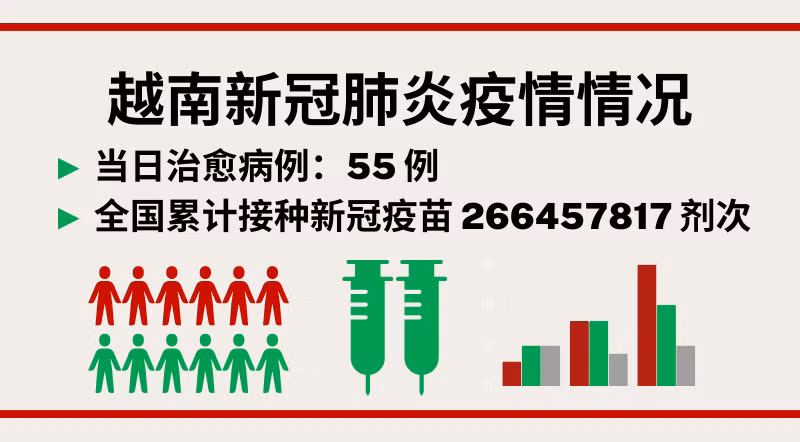 6月17日越南新增新冠确诊病例251例【图表新闻】