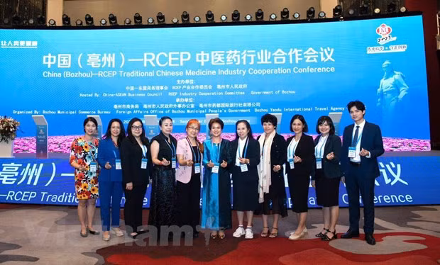 与会代表。（图片来源：越通社）