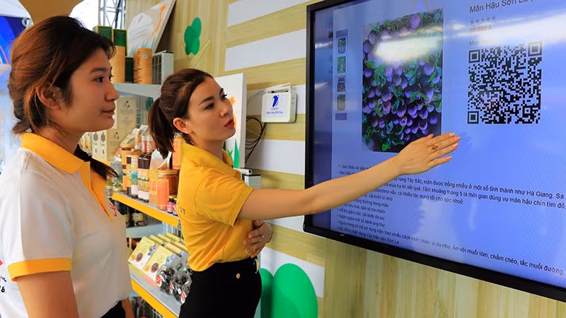 电子商务平台员工介绍山罗省产品。